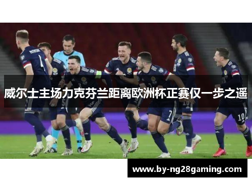 威尔士主场力克芬兰距离欧洲杯正赛仅一步之遥
