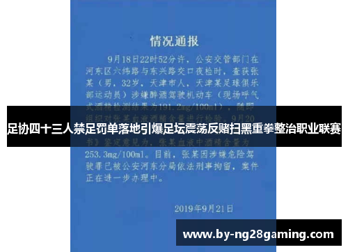 足协四十三人禁足罚单落地引爆足坛震荡反赌扫黑重拳整治职业联赛