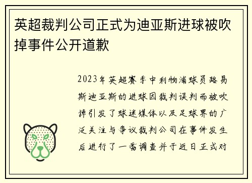 英超裁判公司正式为迪亚斯进球被吹掉事件公开道歉