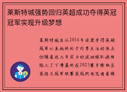 莱斯特城强势回归英超成功夺得英冠冠军实现升级梦想