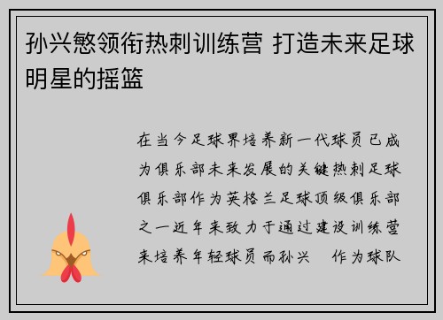 孙兴慜领衔热刺训练营 打造未来足球明星的摇篮
