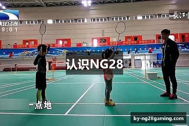 认识NG28